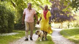 Senior Couple Walking With Pet Bulldog In Countryside