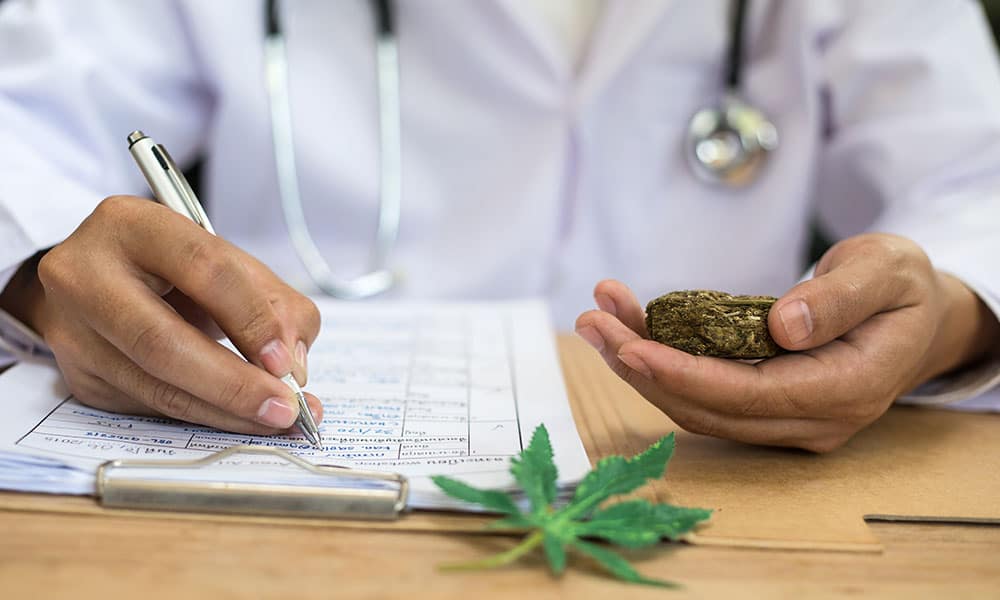 A medical doctor sat at a desk is holding a clump of dried cannabis in his left hand. With his right hand he completes a check sheet that's attached to a clip board.