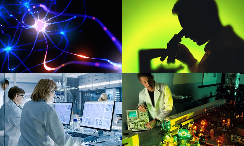 Photo montage of various lab-based scientific research activities