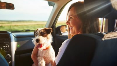 Young woman and her dog travelling together in a car