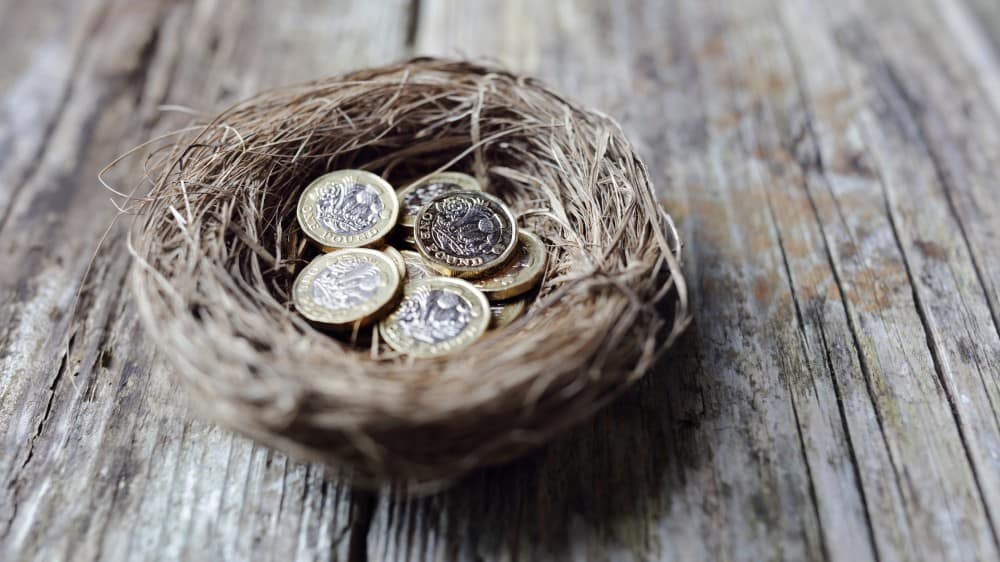 British pound coins in birds' nest