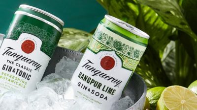 Cans of Tanqueray sit in an ice bucket