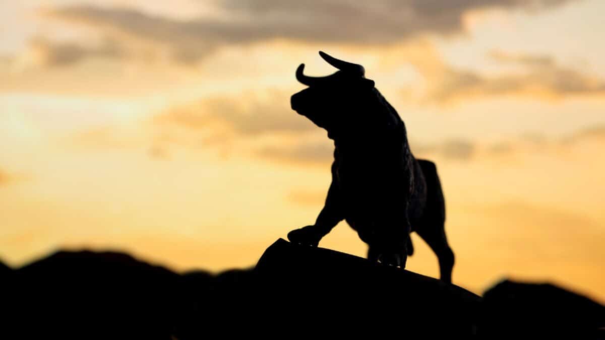 Silhouette of a bull standing on top of a landscape with the sun setting behind it